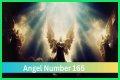 
ANGEL NUMBER 165
