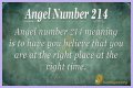 
ANGEL NUMBER 214

