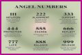 
Repeating Angel Numbers - 3's and 6's  (3366, 3636, 6633, 6363 etc)
