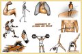 Single part of a gym exercise