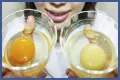 What the yolk and white are enclosed in